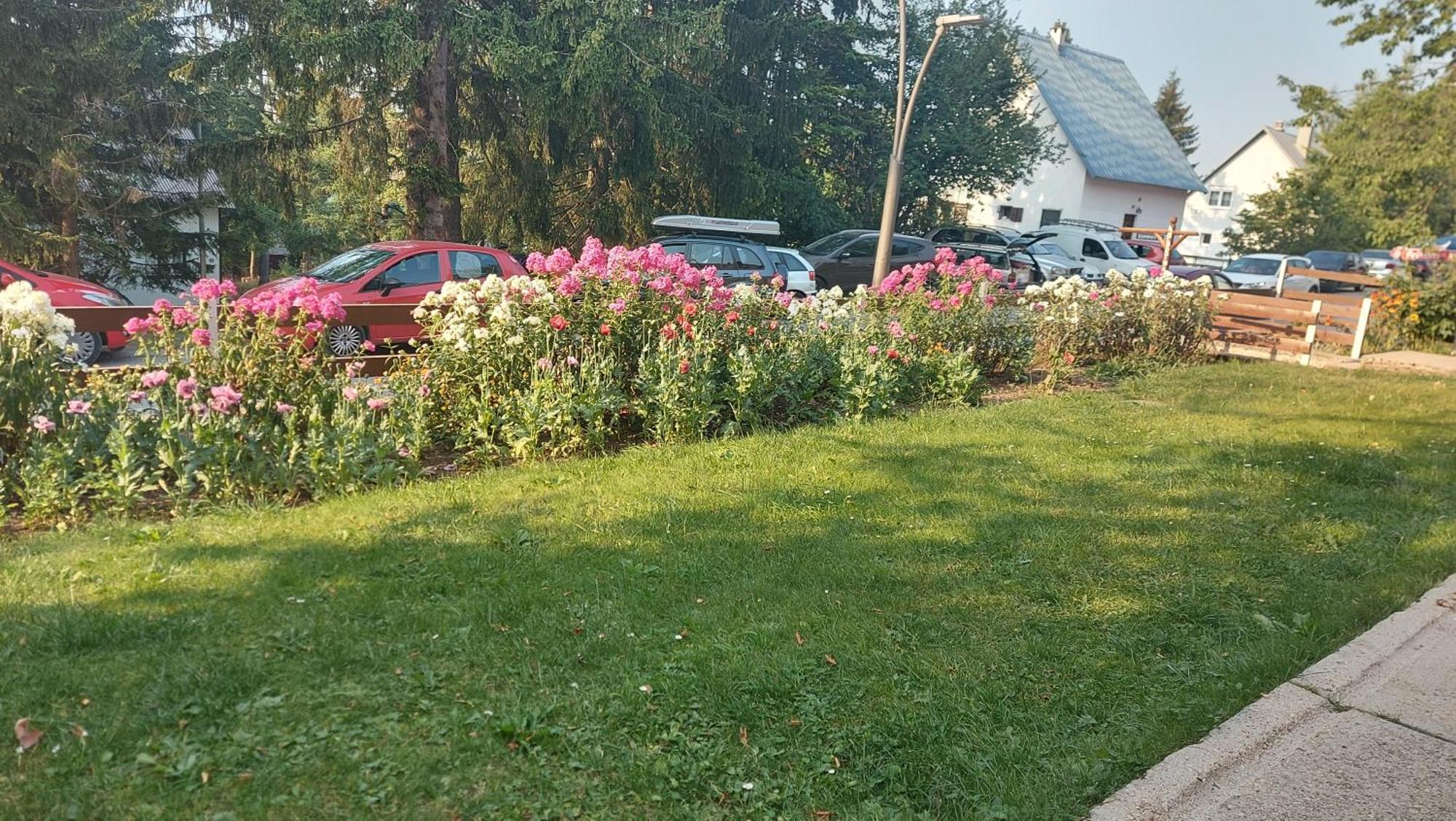 Guest House Milena Žabljak Pokoj fotografie